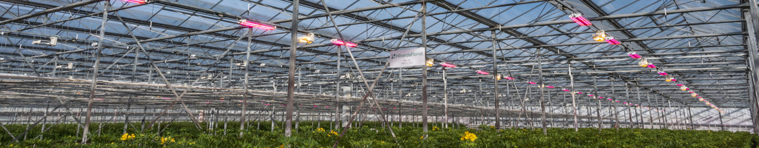 horti.jpg