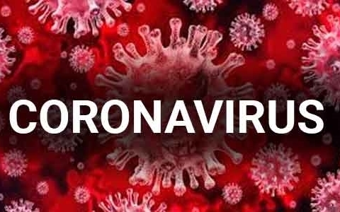 123597 Coronavirus 2