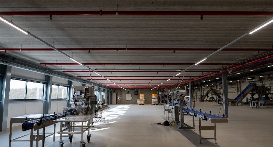 Line lighting in modern distribution centres